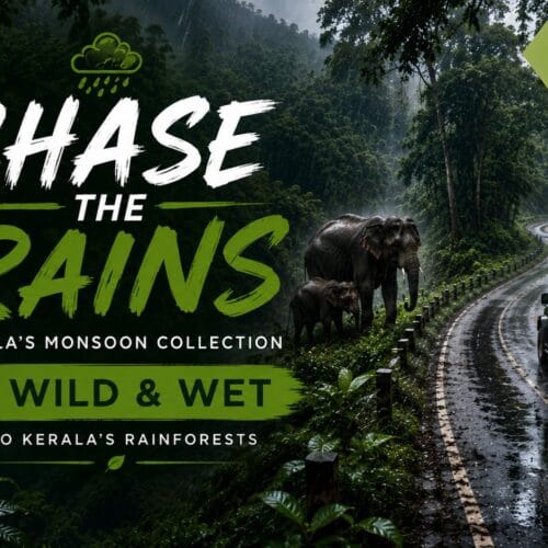 Kerala Nature Tour
