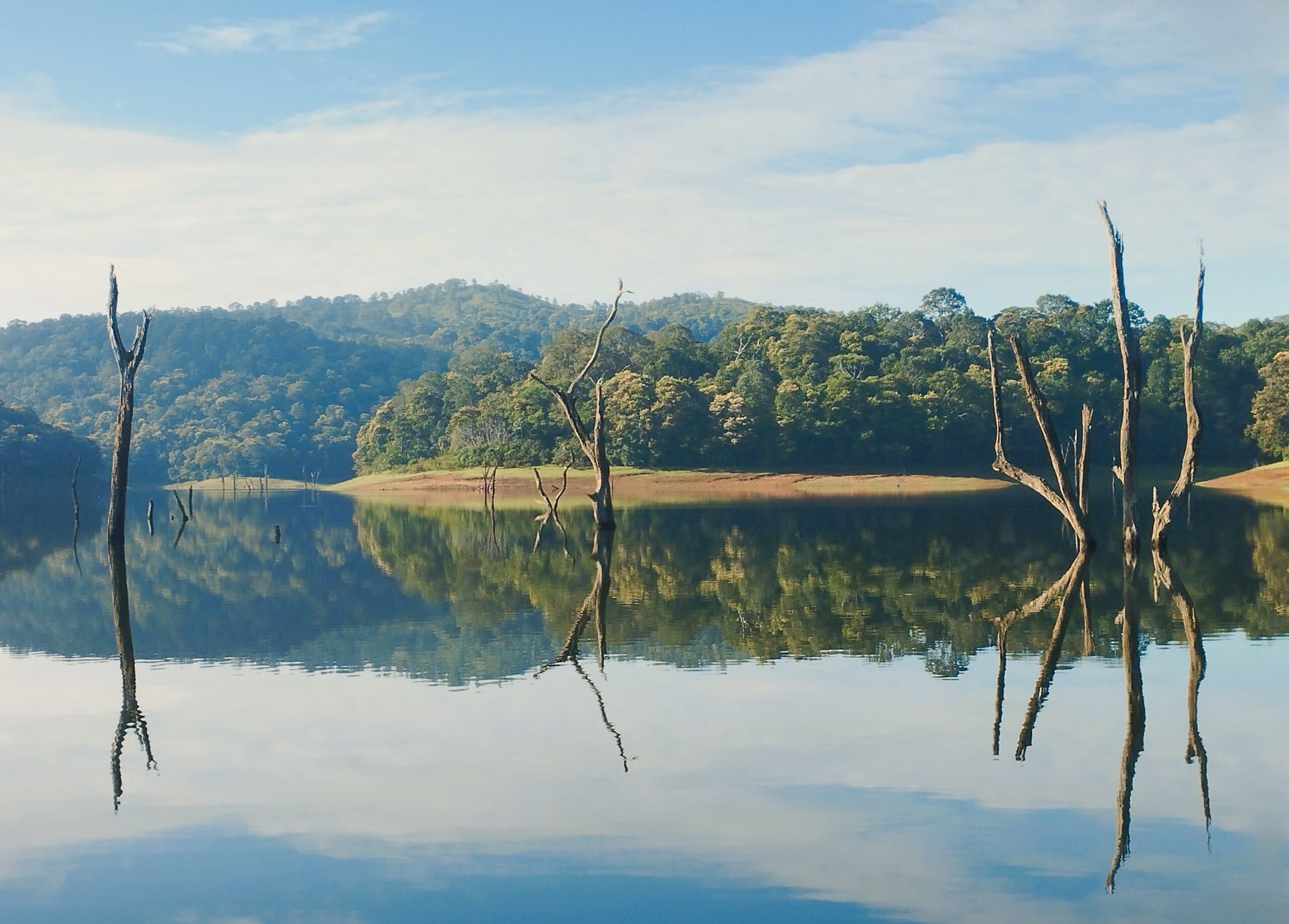 Kerala Rainforest Tour