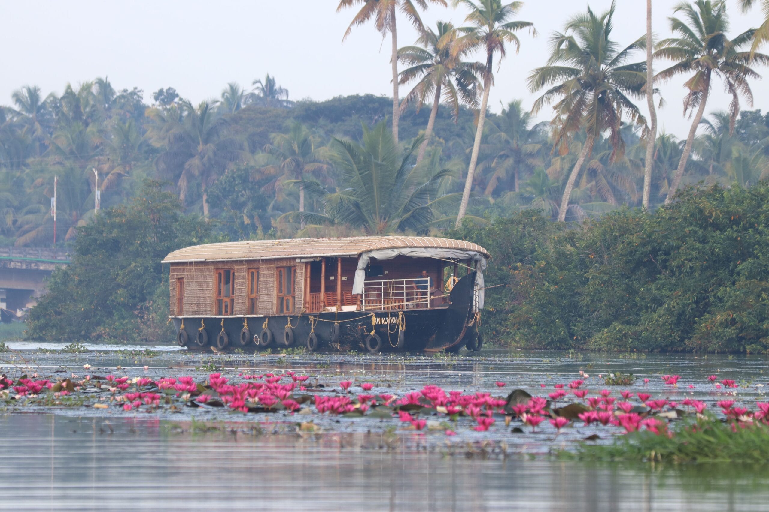 Essential Kerala holiday package covering Munnar and Alleppey houseboat